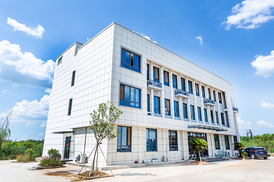 회사 실제 사진