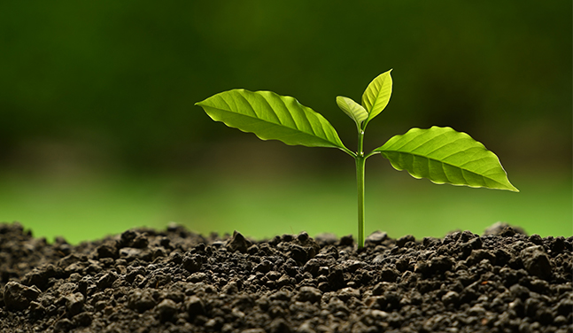 론선 수출입 유한회사